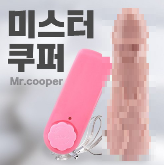 여성딜도(진동) – 미스터 쿠퍼